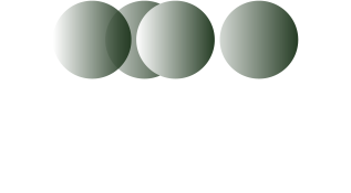 Logo Copernicus capital